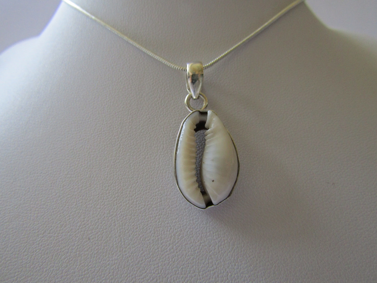 Shell Necklace- White Enamel - Set in 925 Sterling Silver.